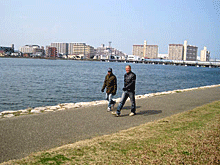 風は冷たいけれど、まわりの景色はもうすっかり春です