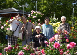 バラに囲まれて撮った写真