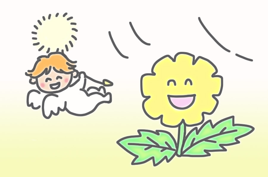 たんぽぽイラスト