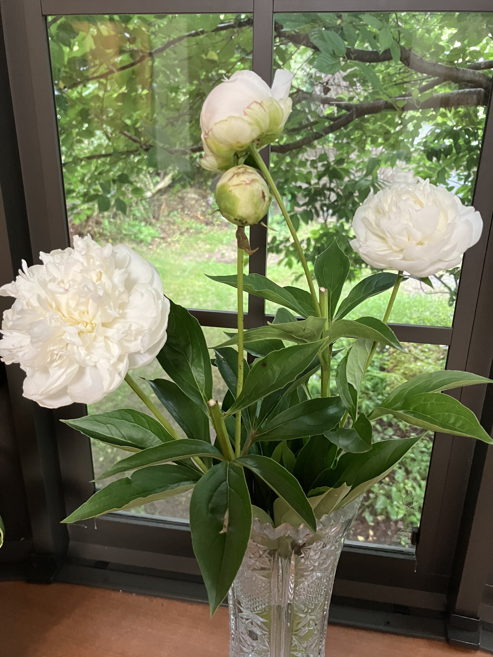 利用者様から頂いたお花