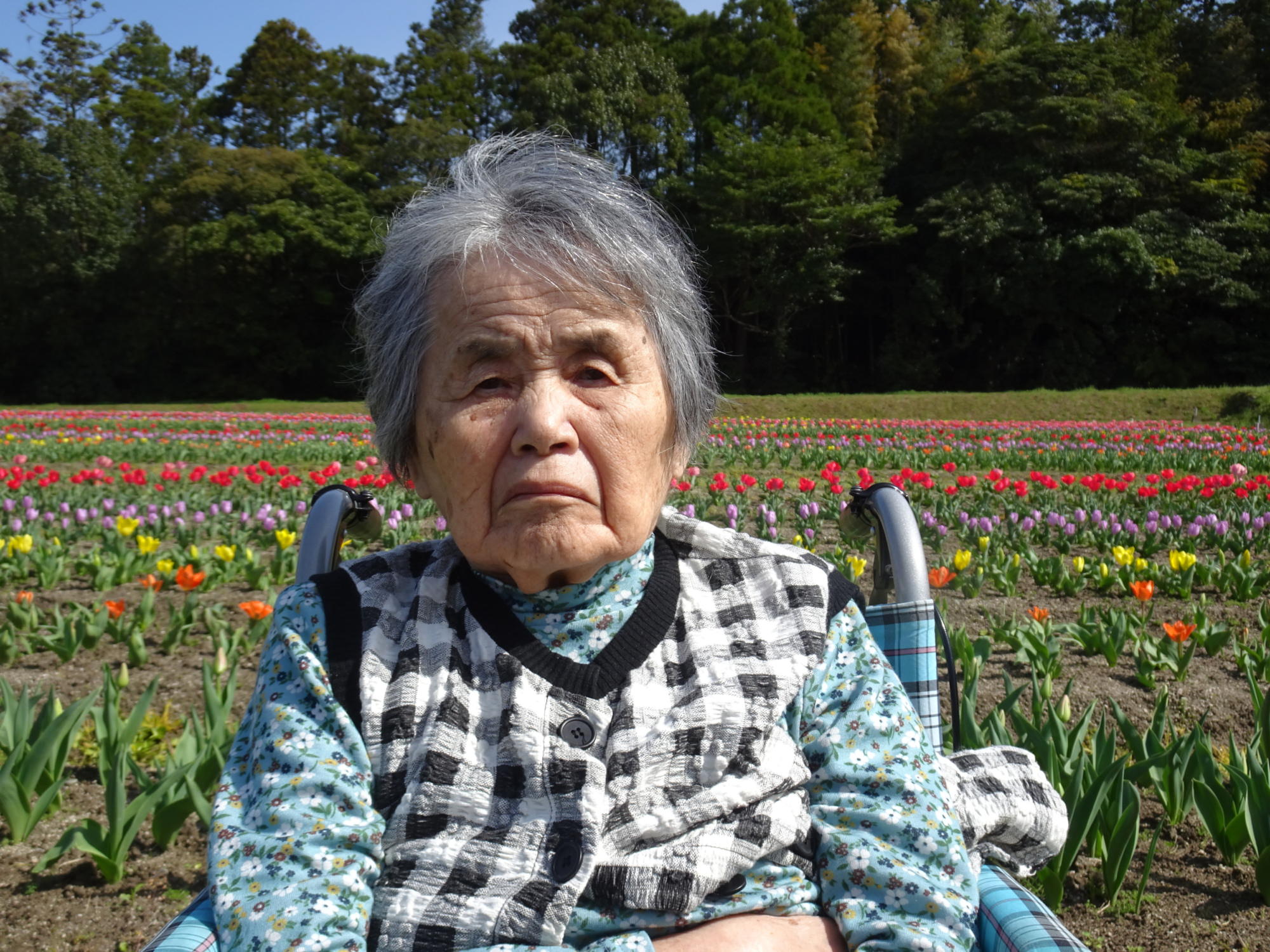 チューリップ畑の前で撮った写真