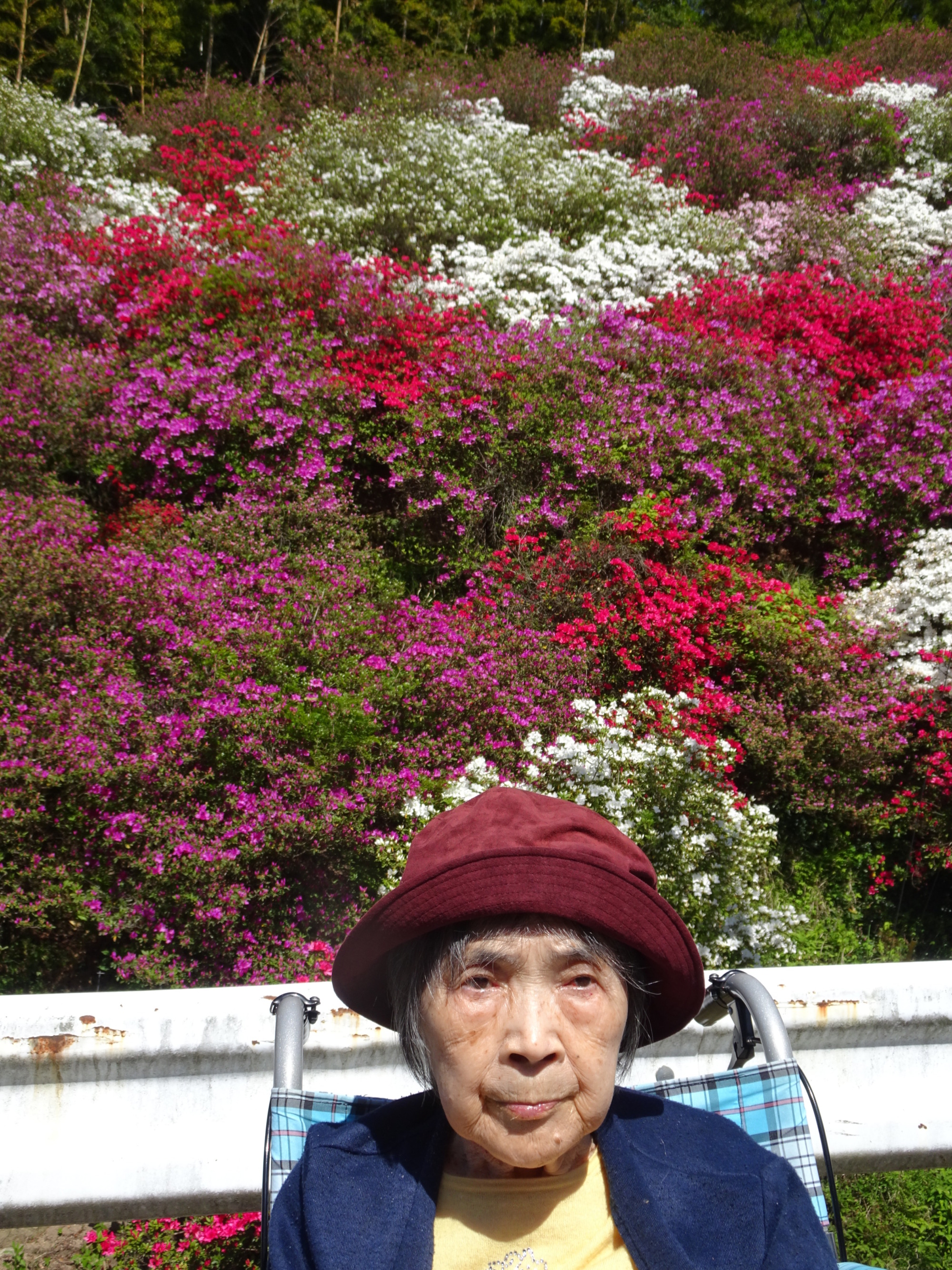 つつじの前でとった写真