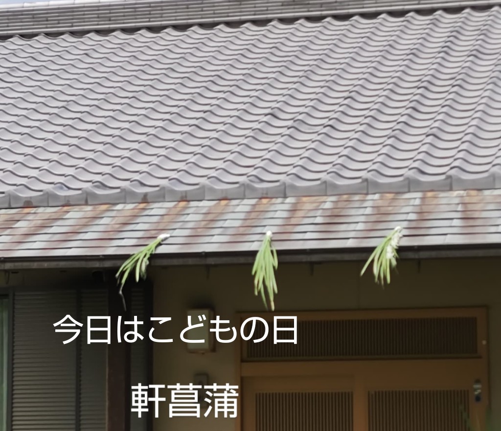 こどもの日に軒菖蒲をしているお宅の屋根