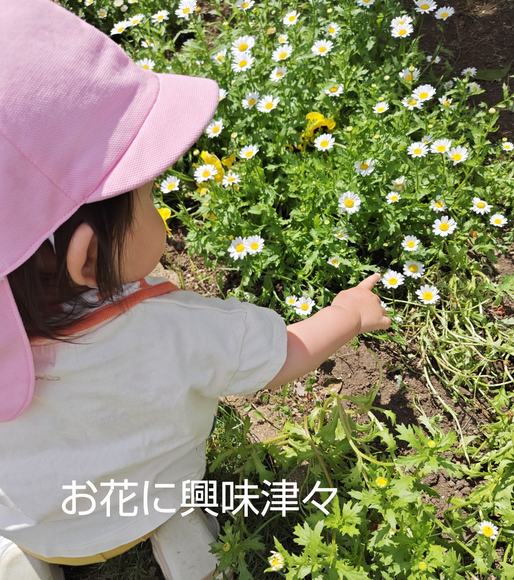 白い小さなお花に興味を持つ女の子