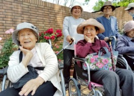植物園内を散策中に撮った写真