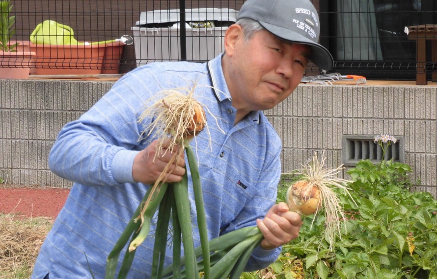 デイの園庭に植えられていた玉ねぎの収穫をして喜ばれるご利用者