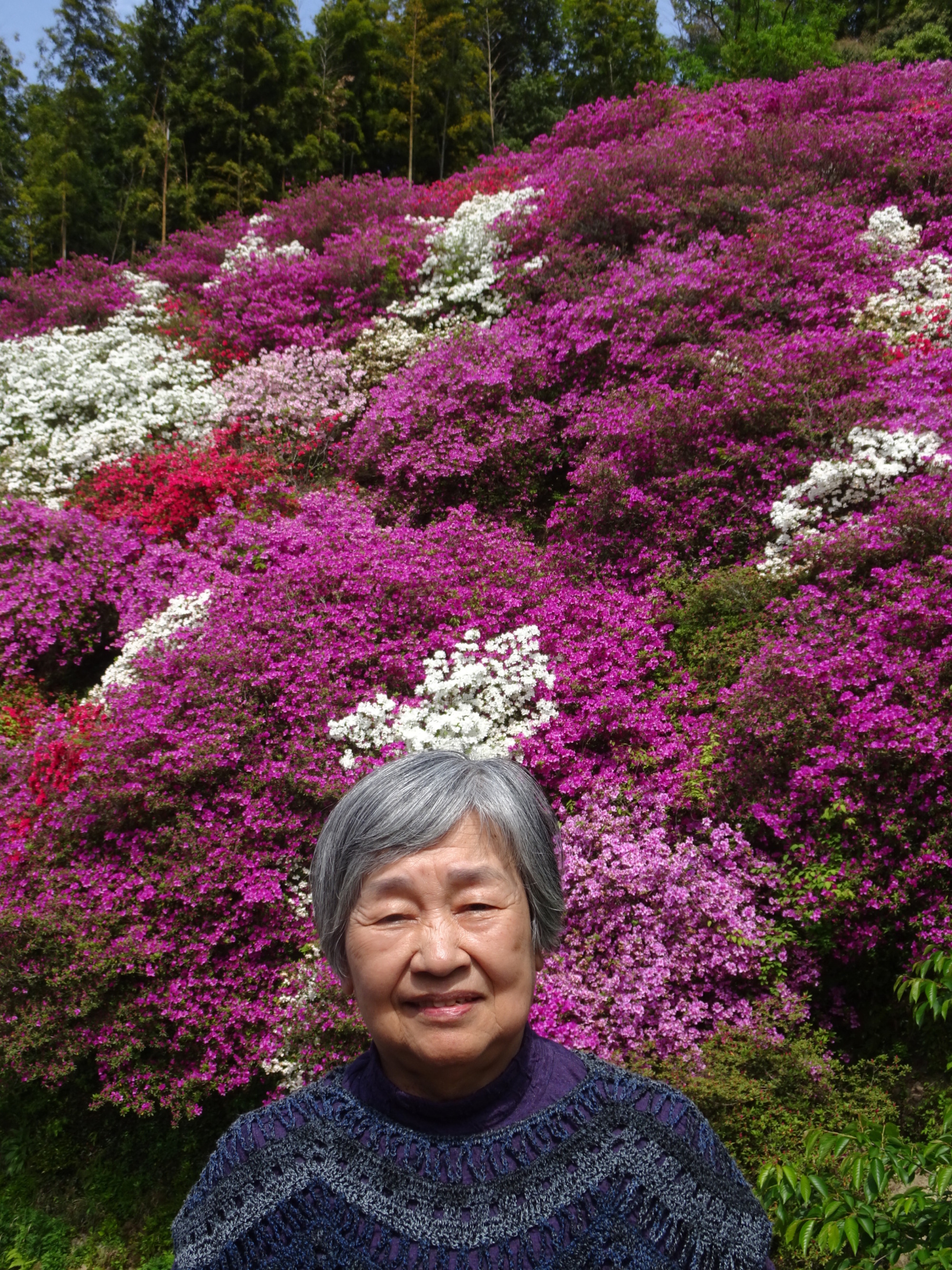 満開のつつじの前でとった写真