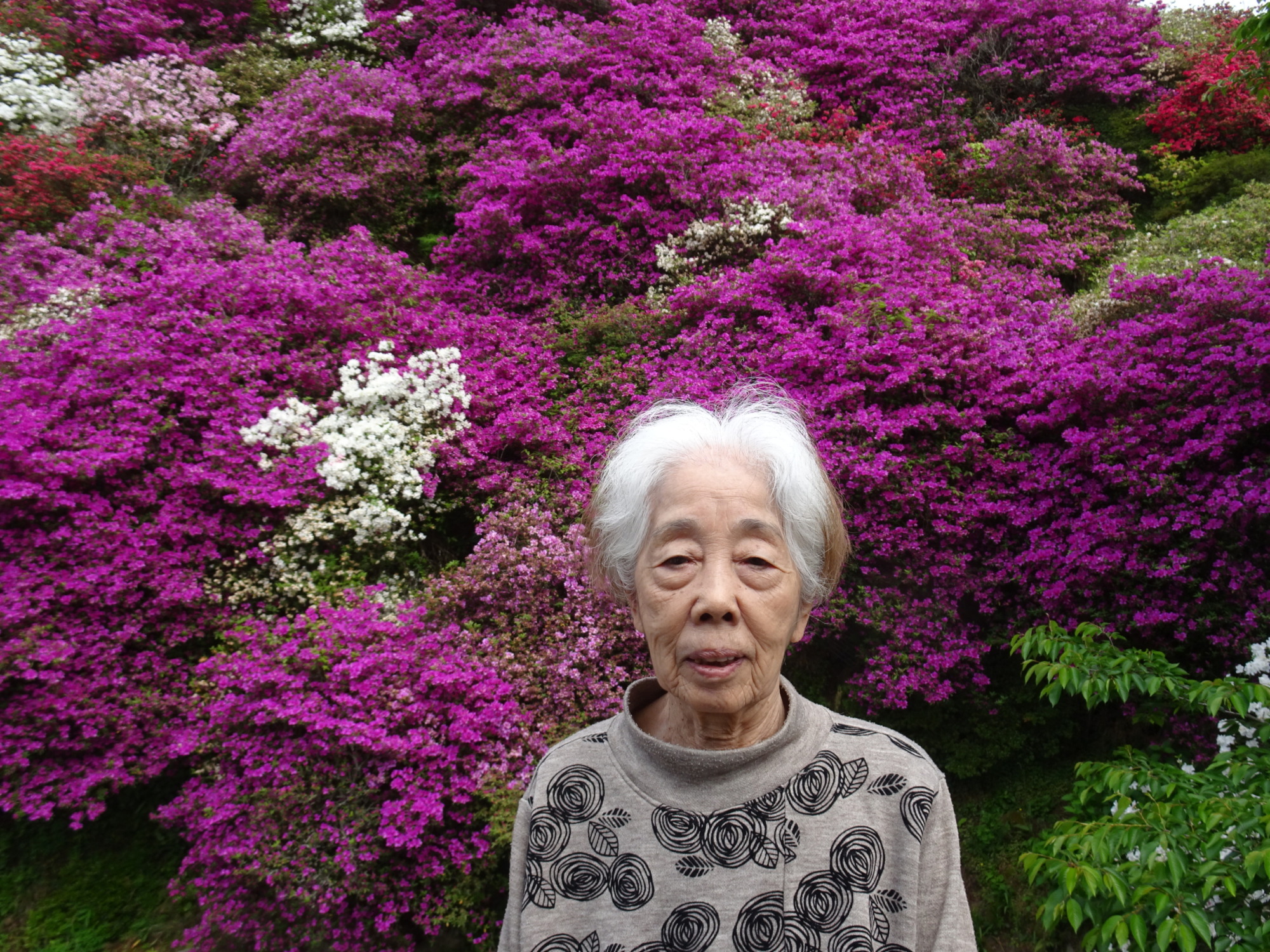 つつじの前でとった写真