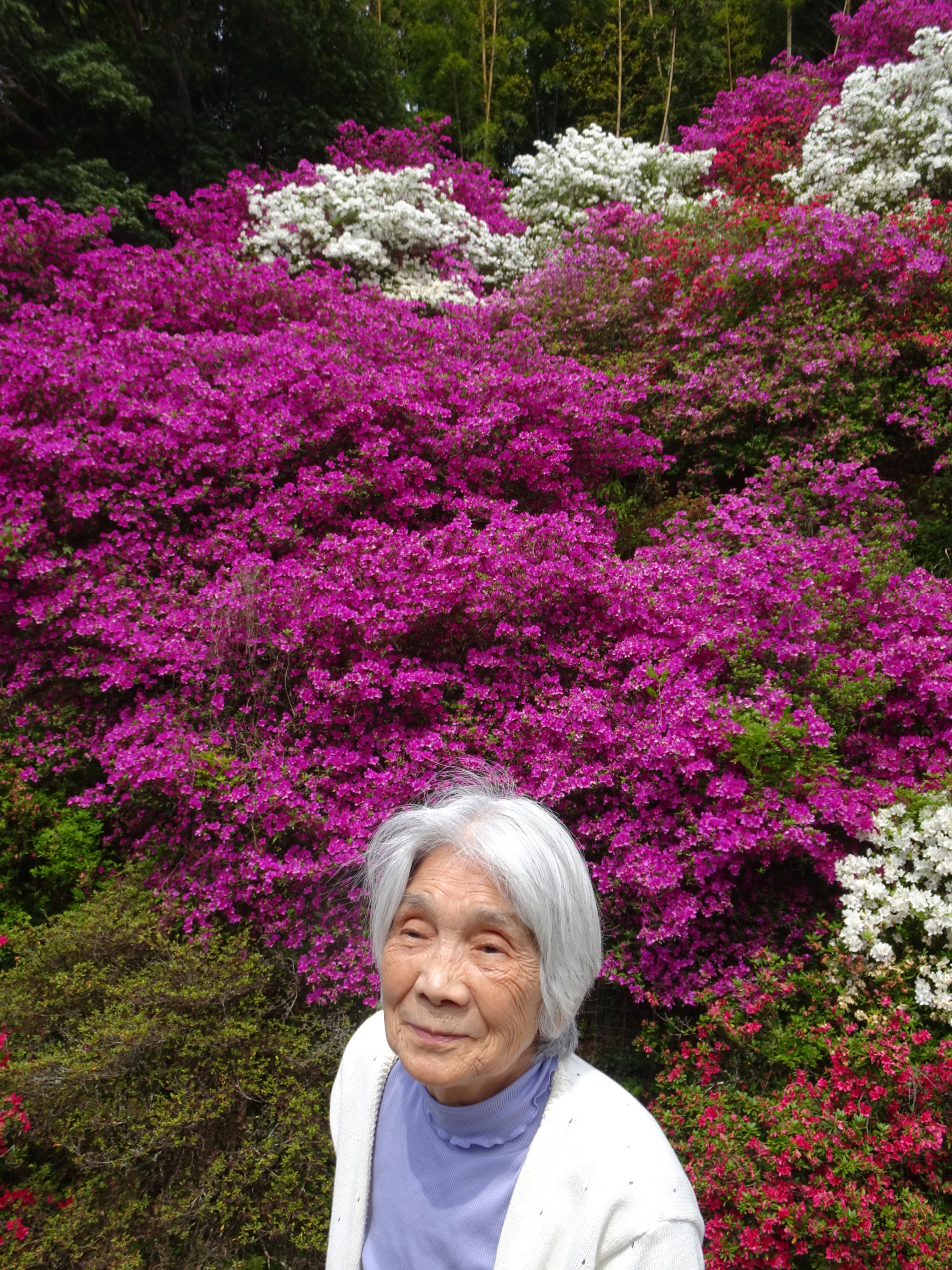 つつじの前でとった写真