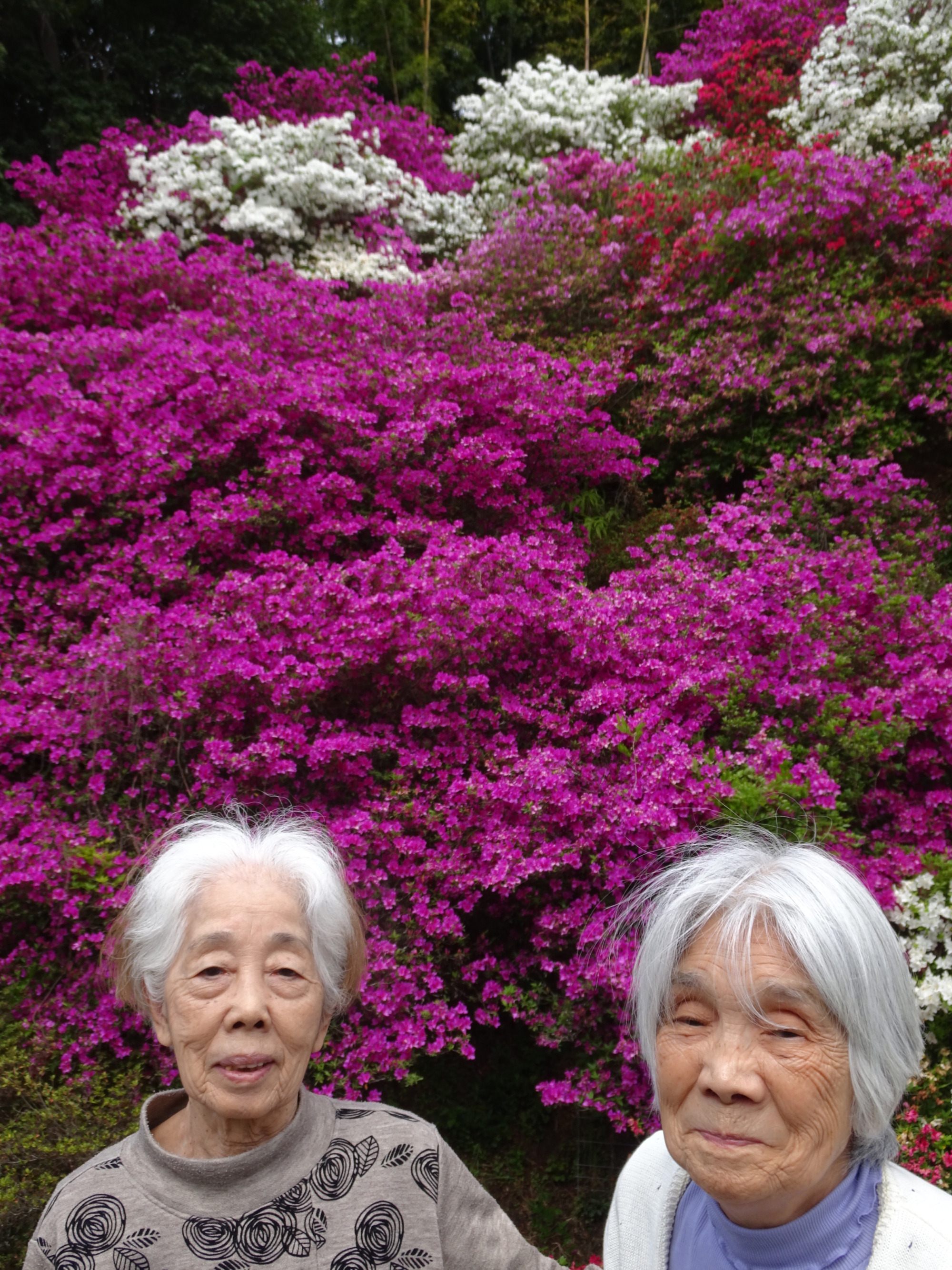 つつじの前でとった2人の利用者さんの写真