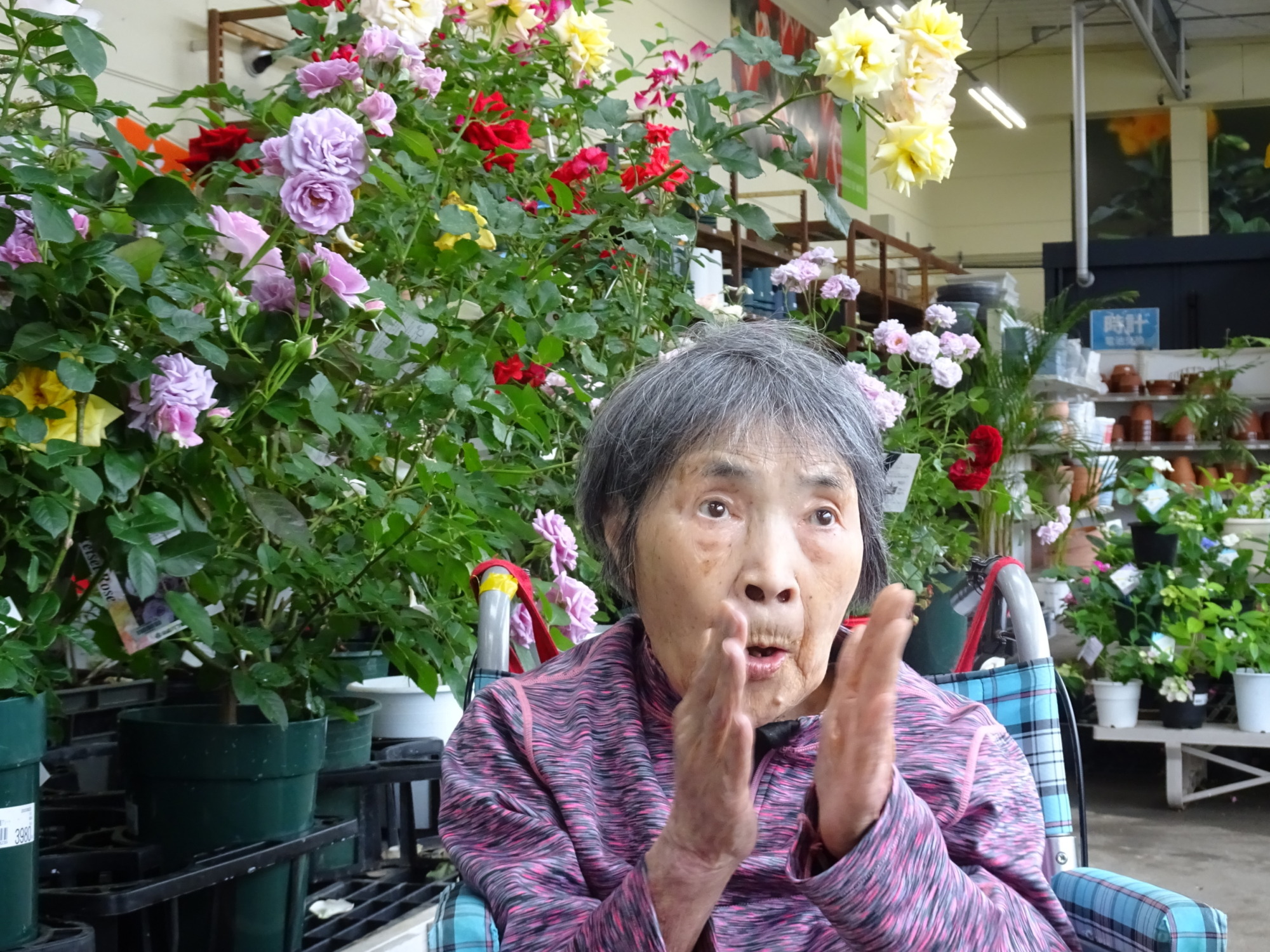 お花のコーナーで撮った写真