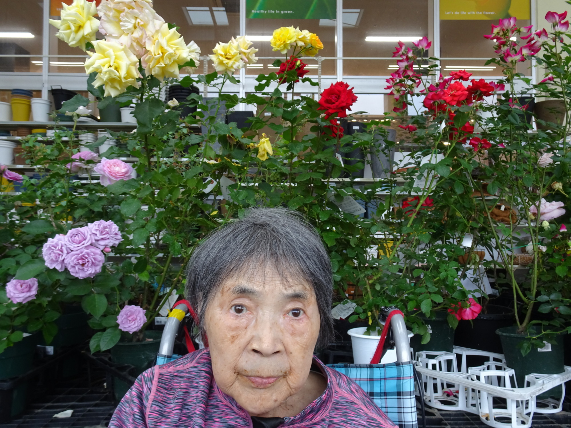 お花のコーナーで撮った写真
