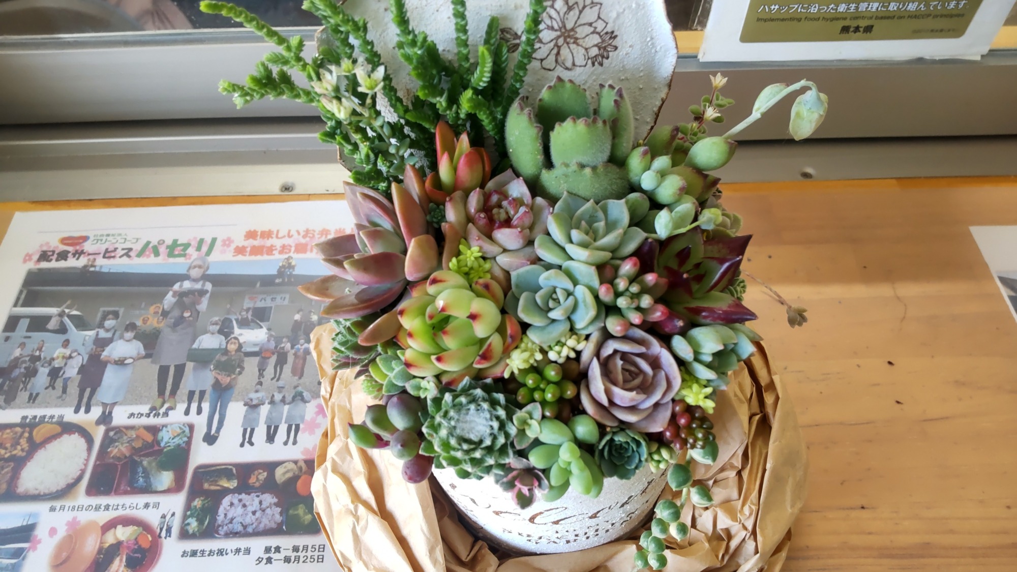 新作の寄せ植え