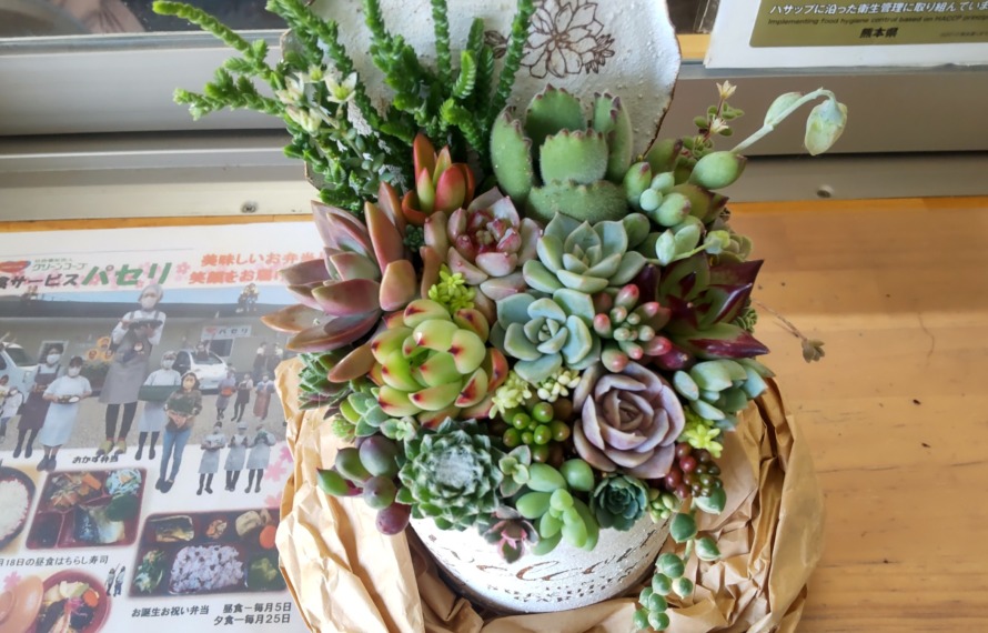 新作の寄せ植え