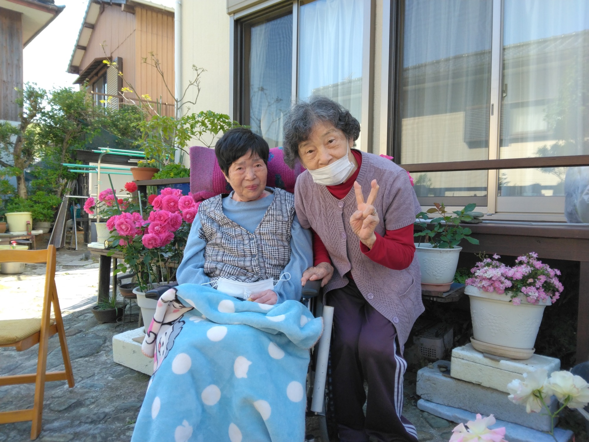バラ⑥