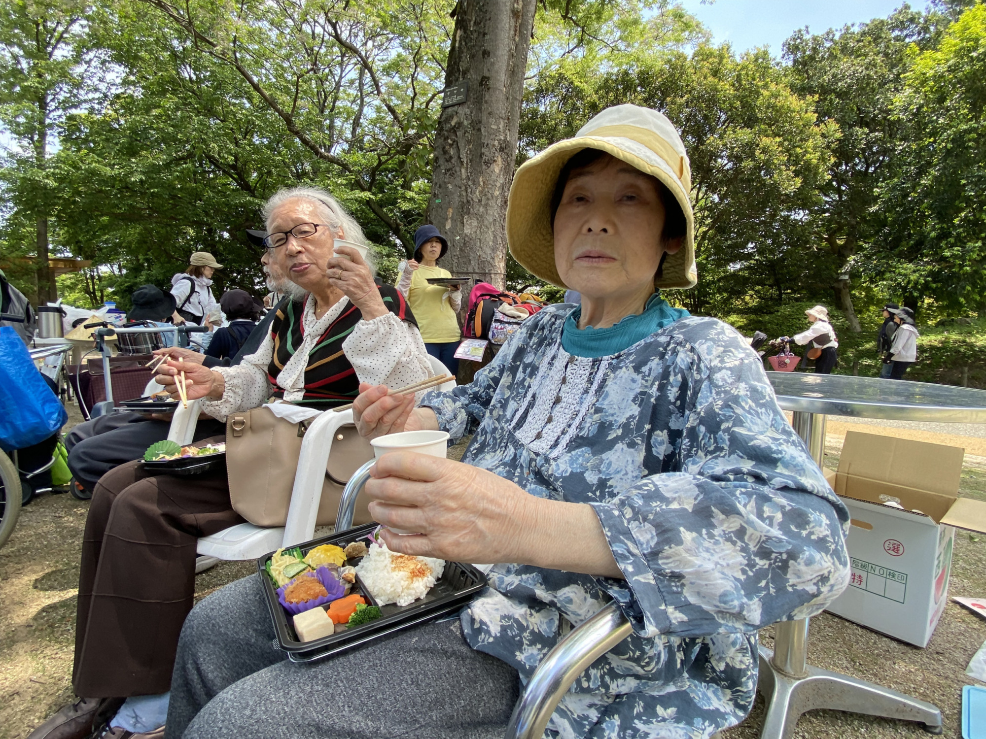 お弁当を食べている写真