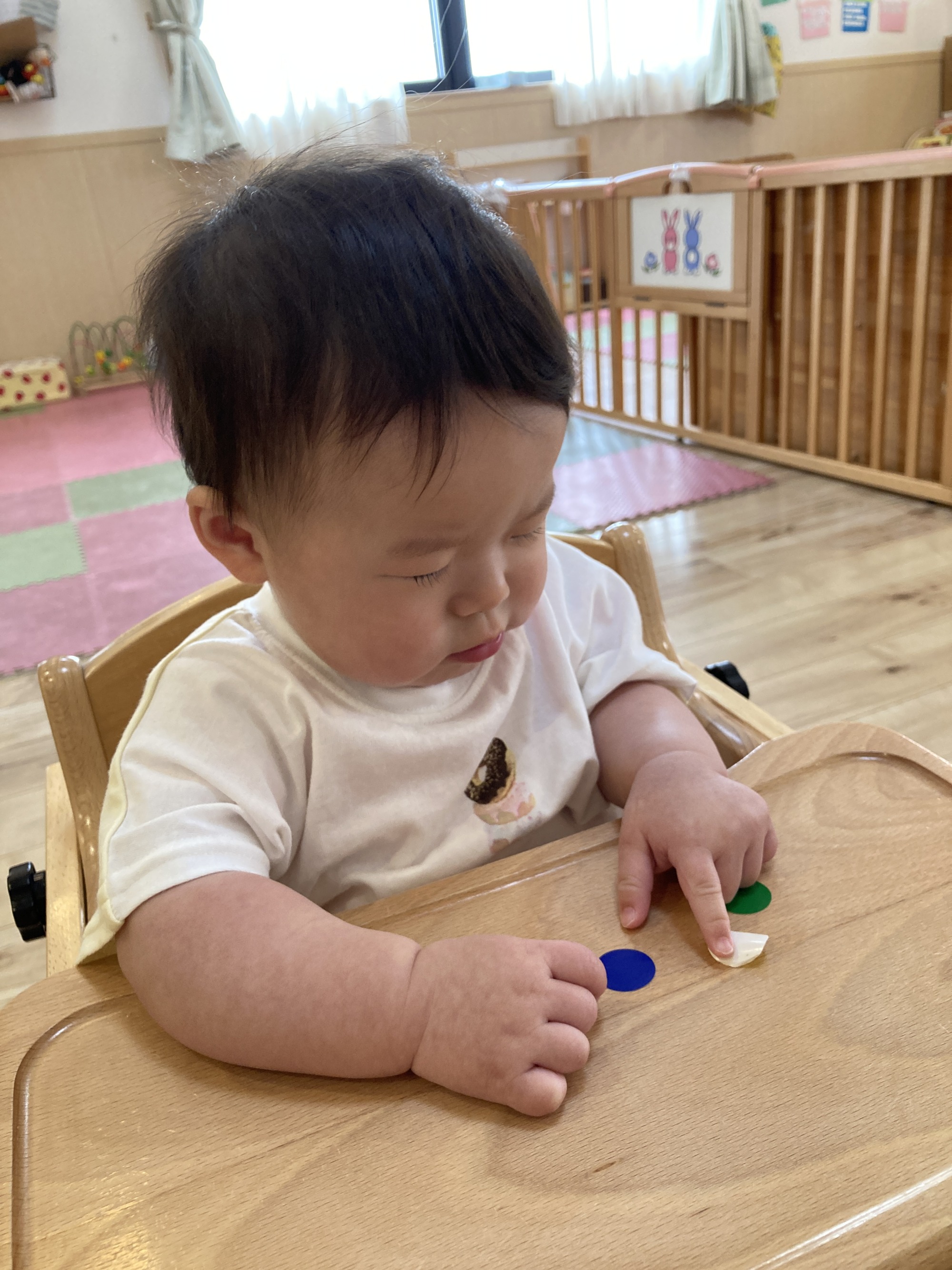 0歳児シール遊び６枚