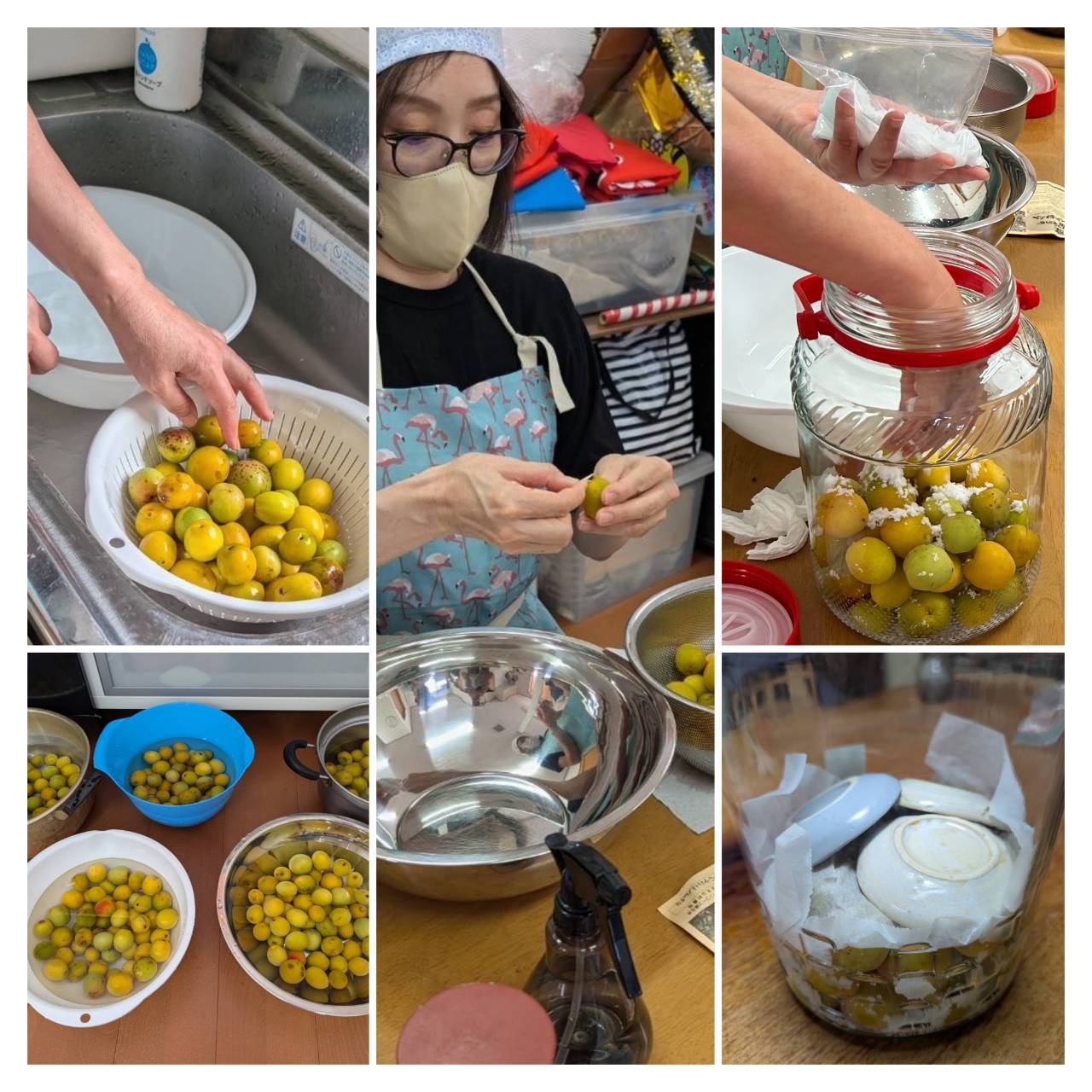 梅干しの作り方