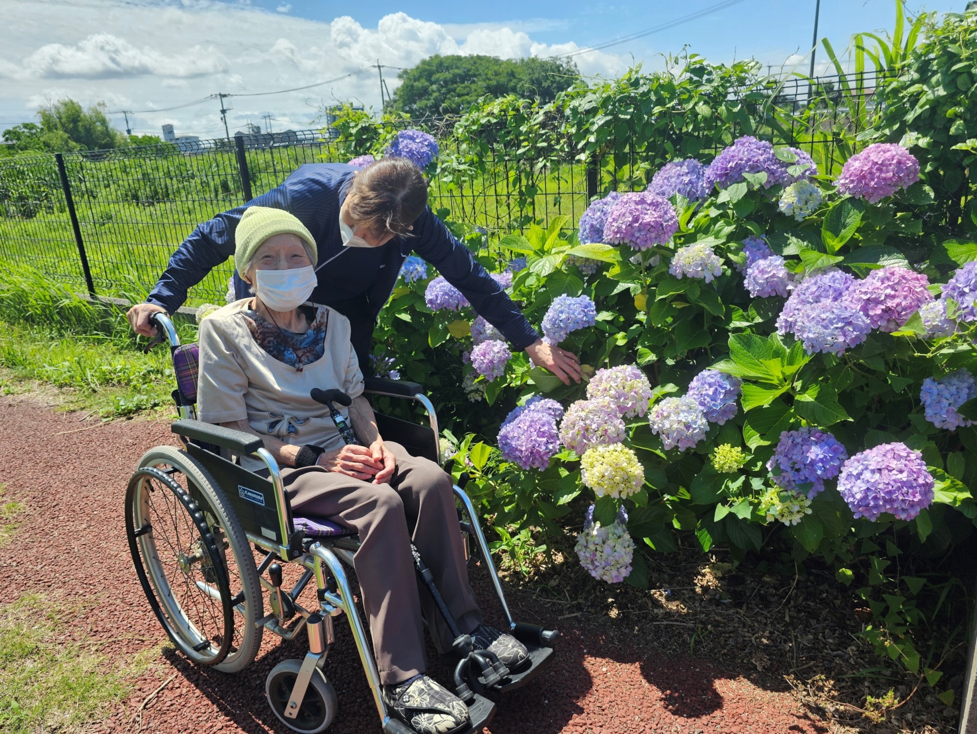 紫陽花の花を見てほっこりされる車イスのご利用者