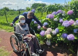 紫陽花の花を見てほっこりされる車イスのご利用者