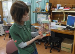 花と小田さん