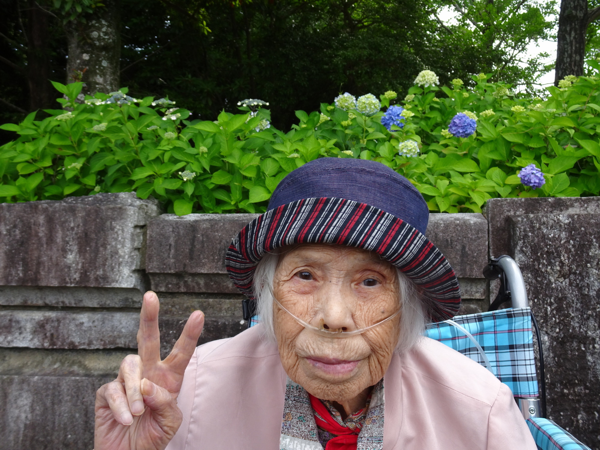 春日公園に咲いている菖蒲の前で撮った写真
