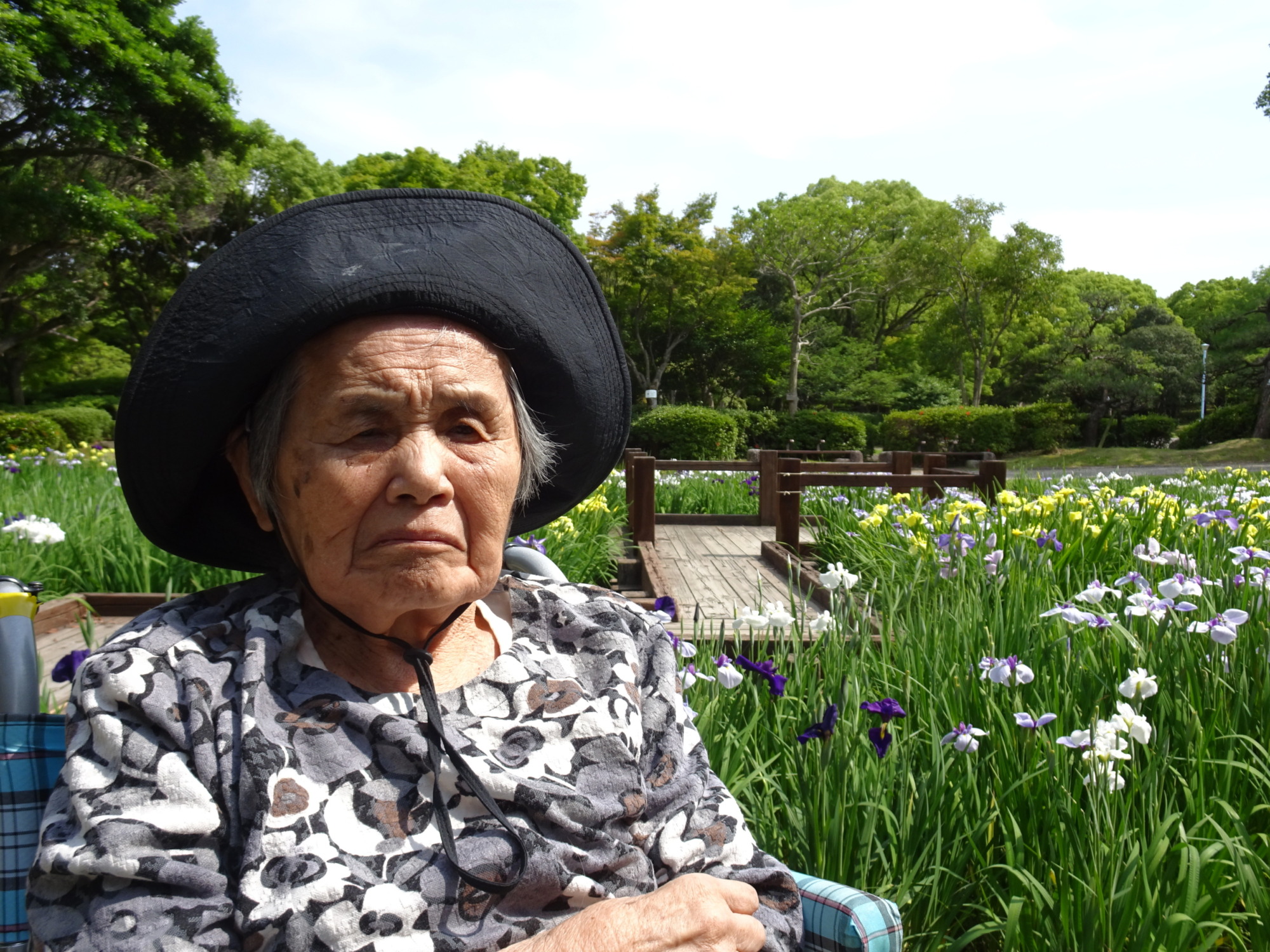 春日公園に咲いている菖蒲の前で撮った写真