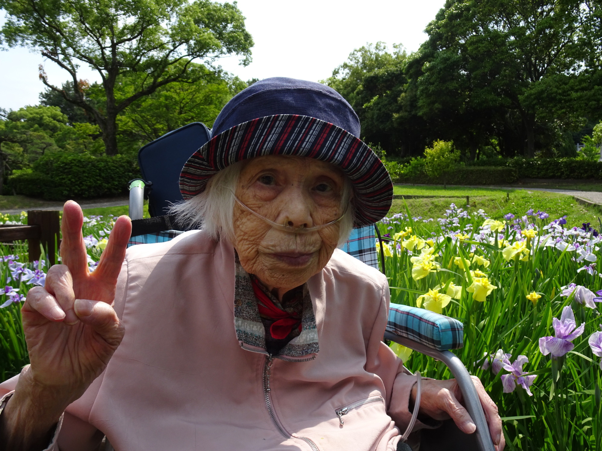 春日公園に咲いている菖蒲の前で撮った写真