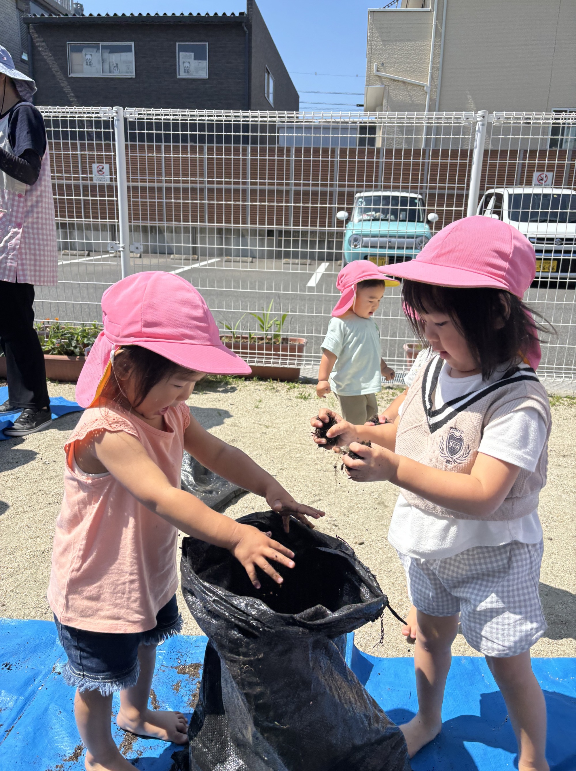 じゃがいも収穫5枚