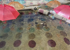 水辺に映る傘の影