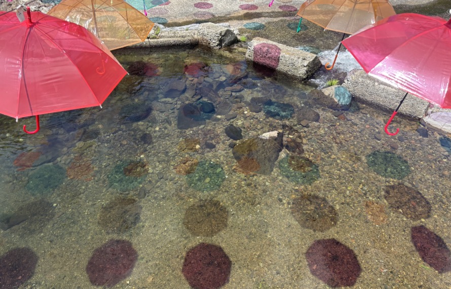 水辺に映る傘の影