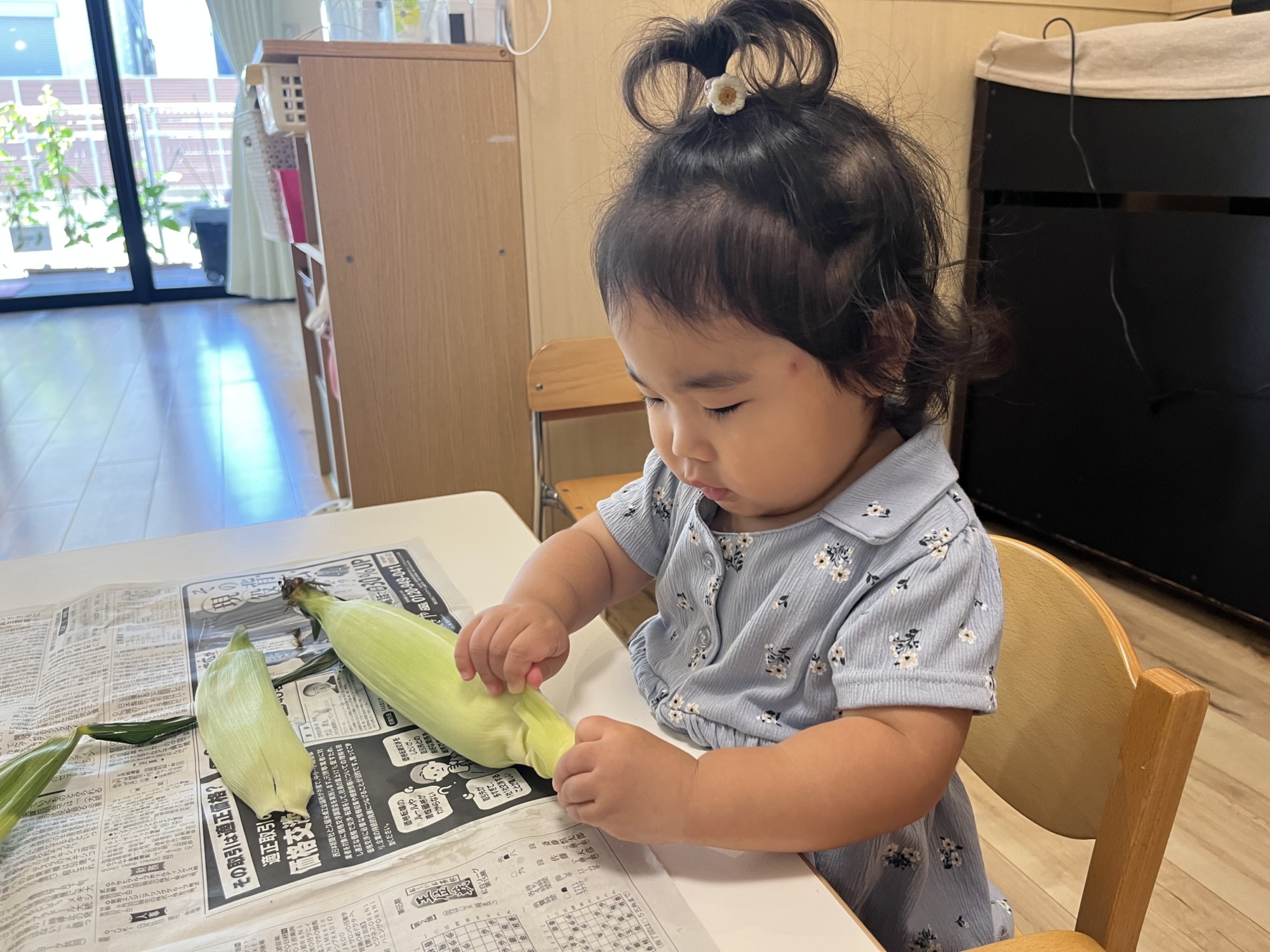 とうもろこしの皮をむく子ども7枚