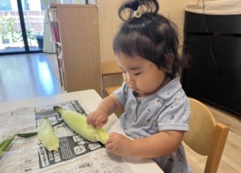 とうもろこしの皮をむく子ども7枚