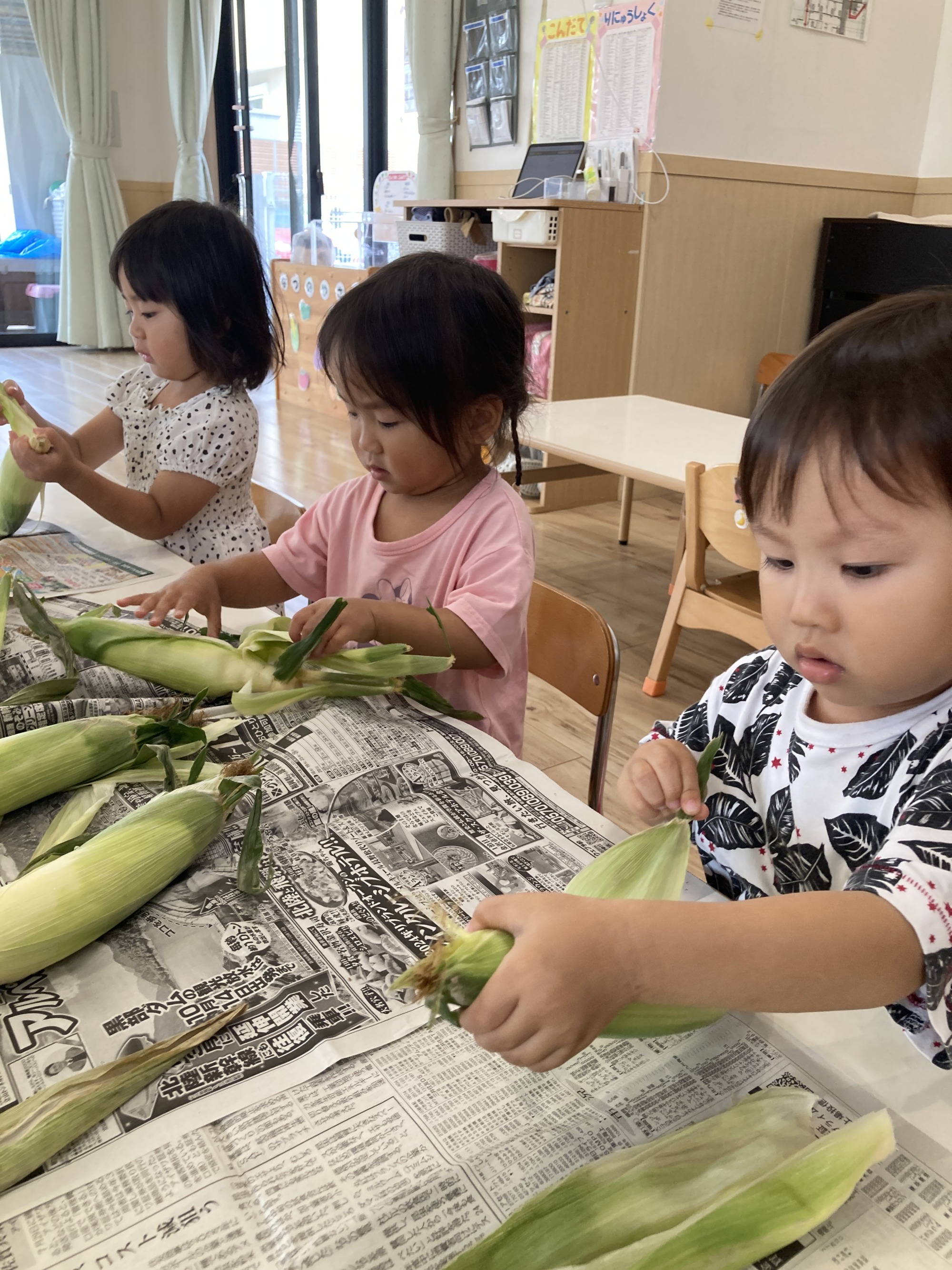 とうもろこしの皮むきをする子どもたち　9枚