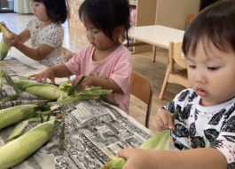 とうもろこしの皮むきをする子どもたち　9枚