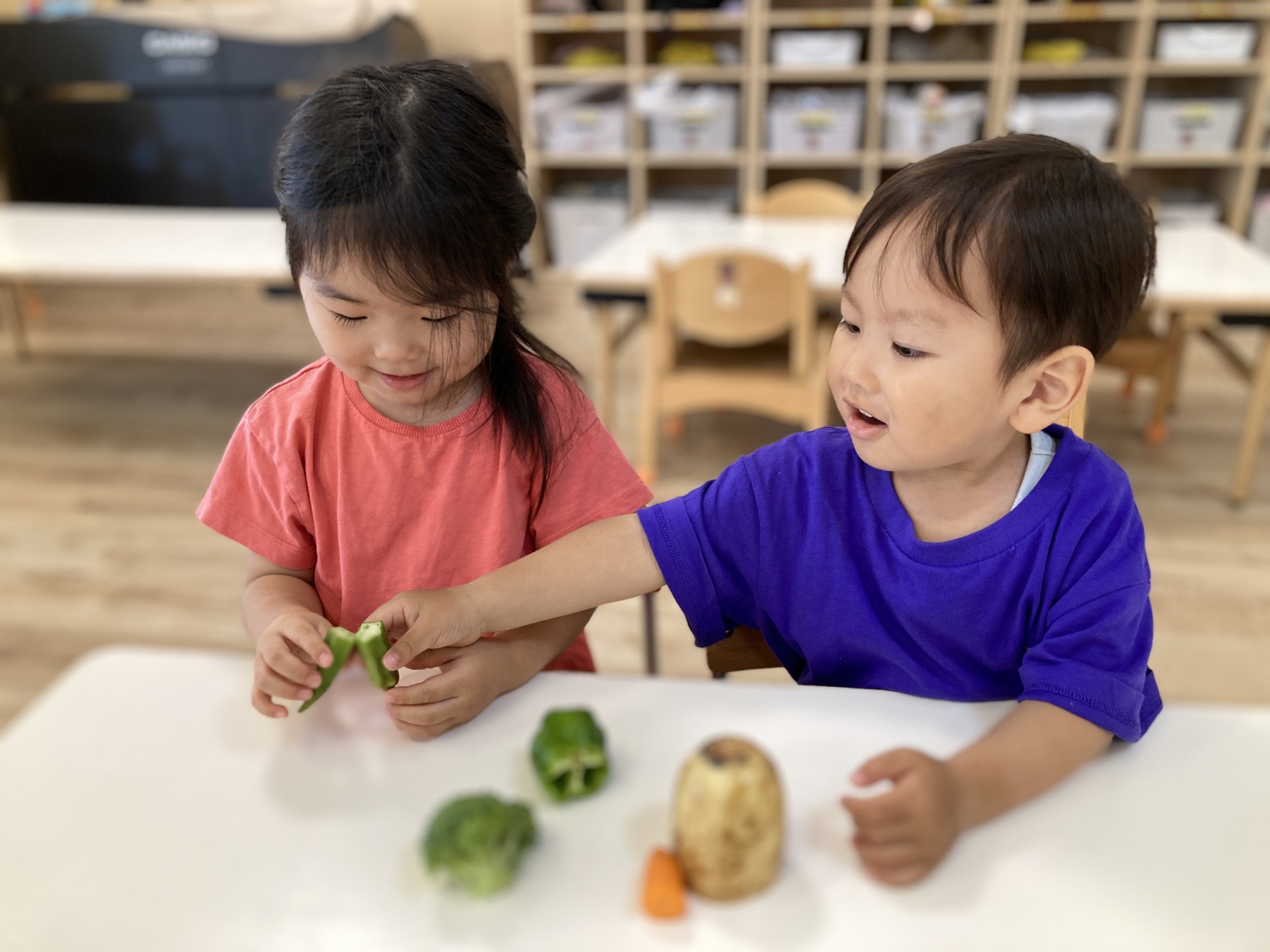 野菜を見る子ども達　4枚