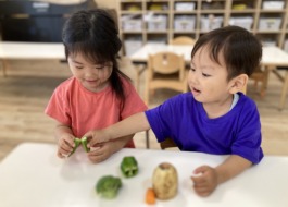 野菜を見る子ども達 4枚