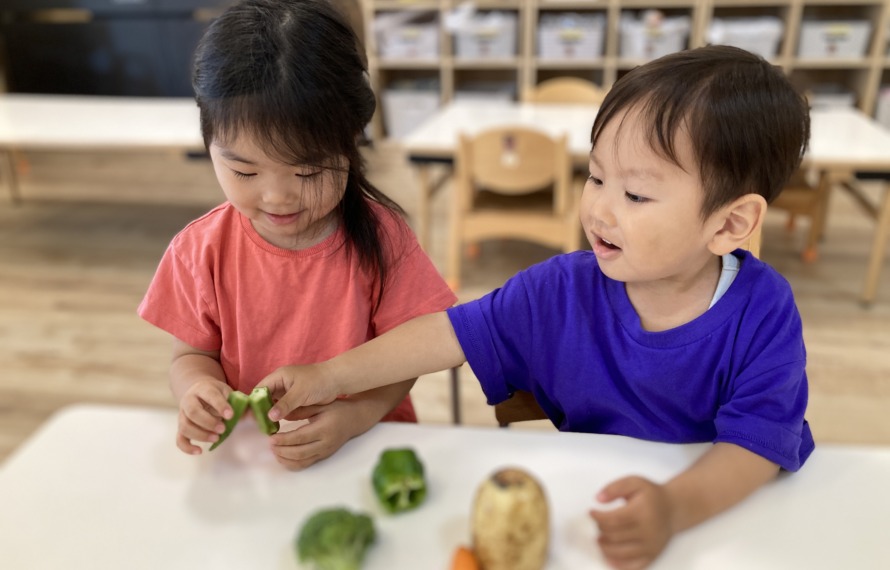 野菜を見る子ども達 4枚