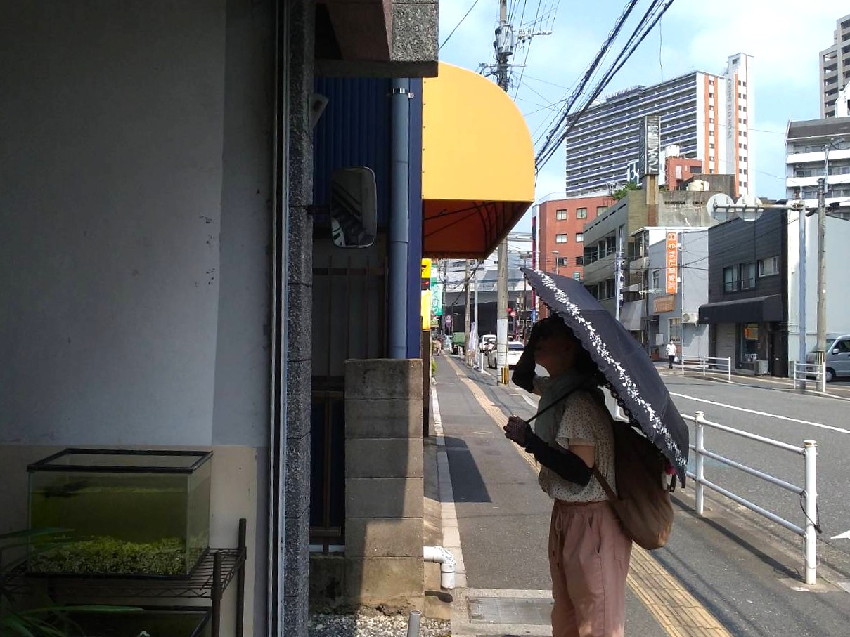 燕の巣を見上げている様子