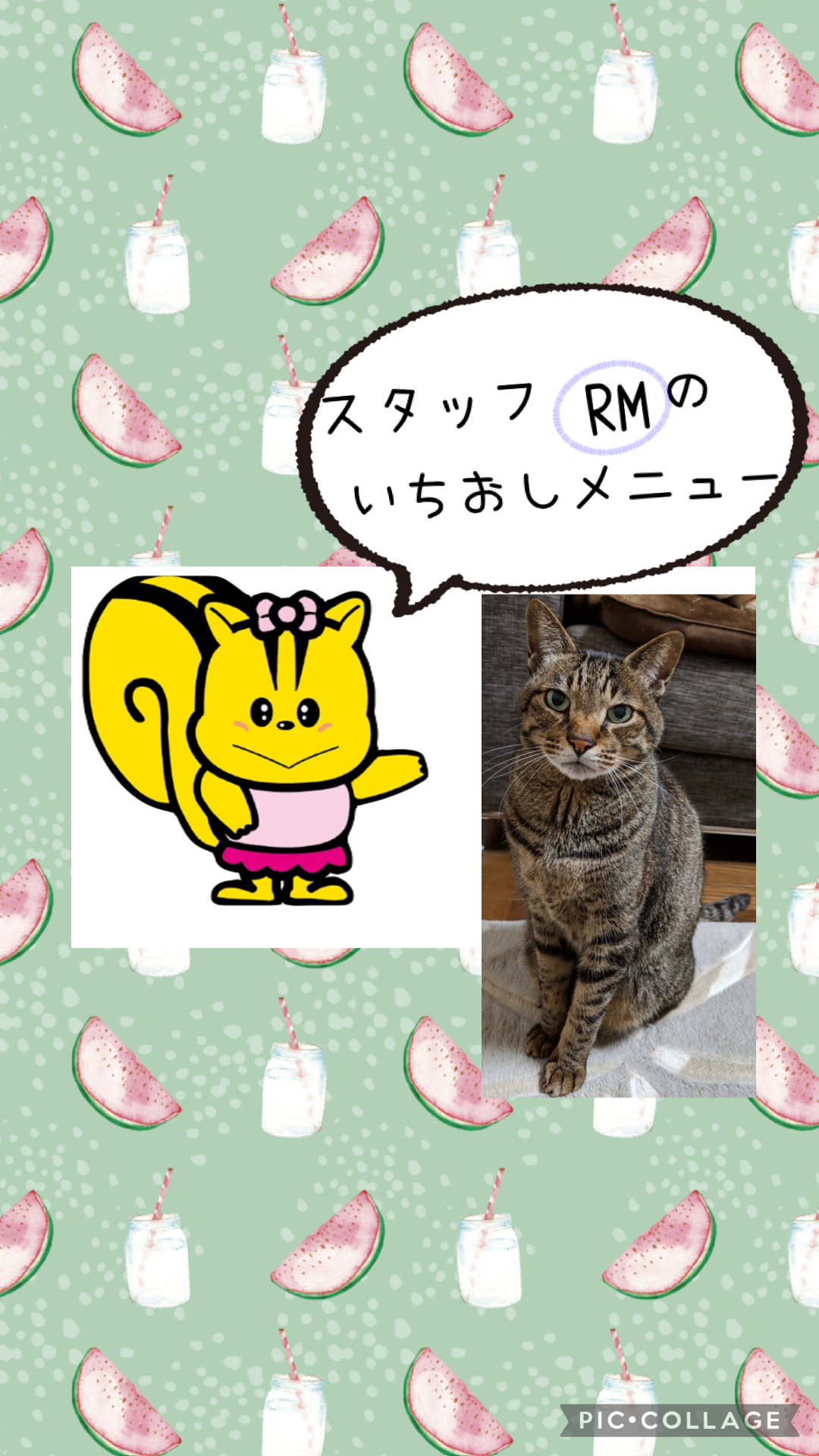 スタッフRMのいちおしメニュー グリーンコープのマスコットキャラクターみどりちゃんと スタッフRMの愛猫が登場