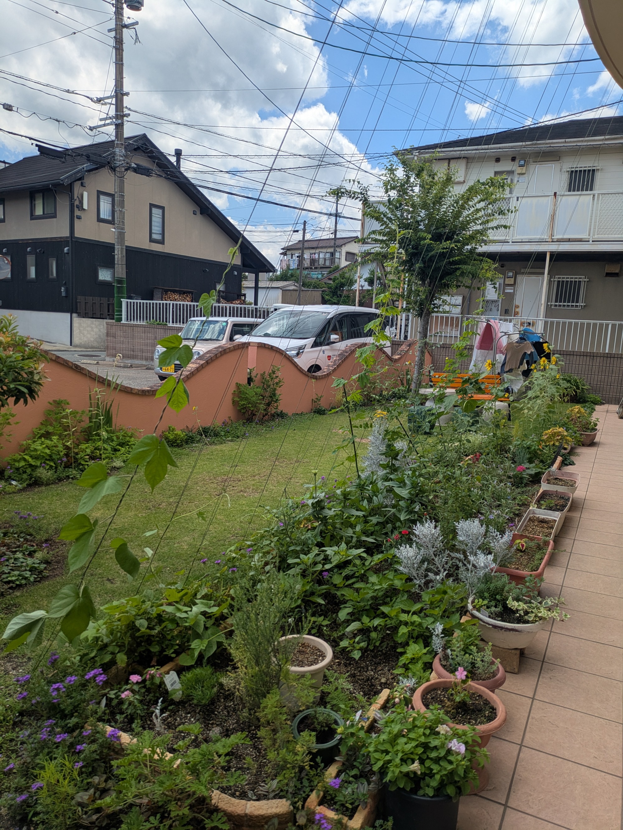 庭の様子