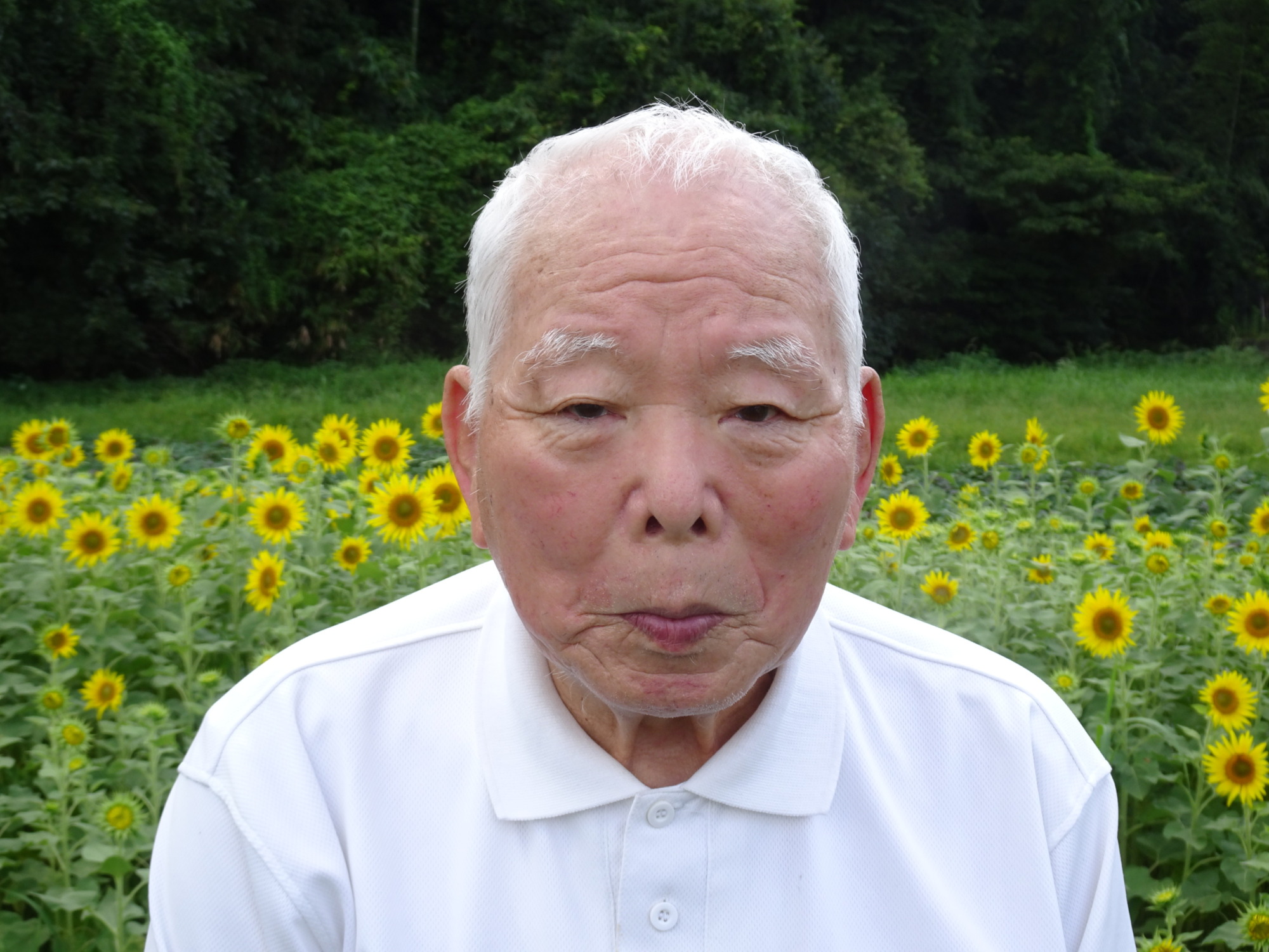 ひまわりの前で撮った写真