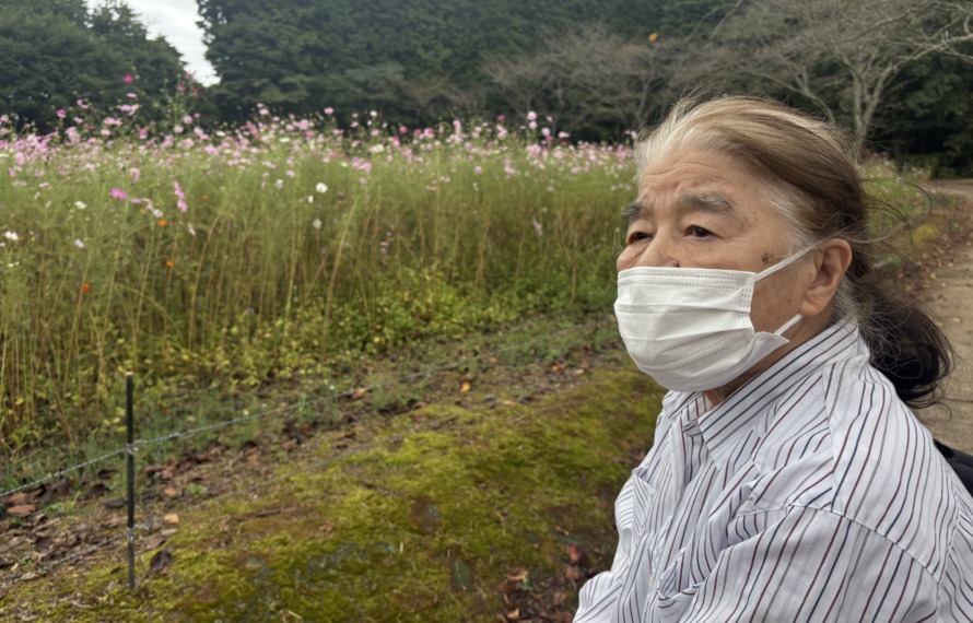 コスモスを眺める女性ご利用者様
