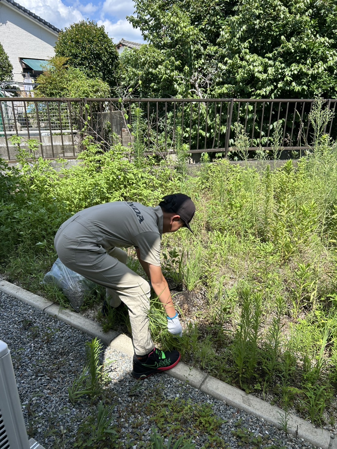草取りを頑張る子ども
