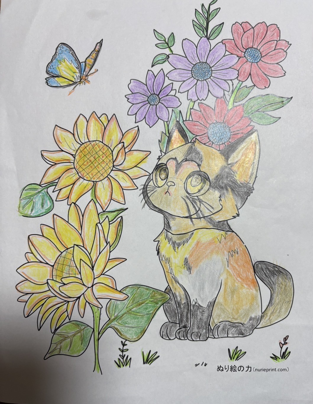 利用者さんの「花に囲まれた猫」の塗り絵 花や蝶、猫の毛並みの塗り方がステキ！