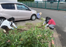 ワーカーが草取りをしています