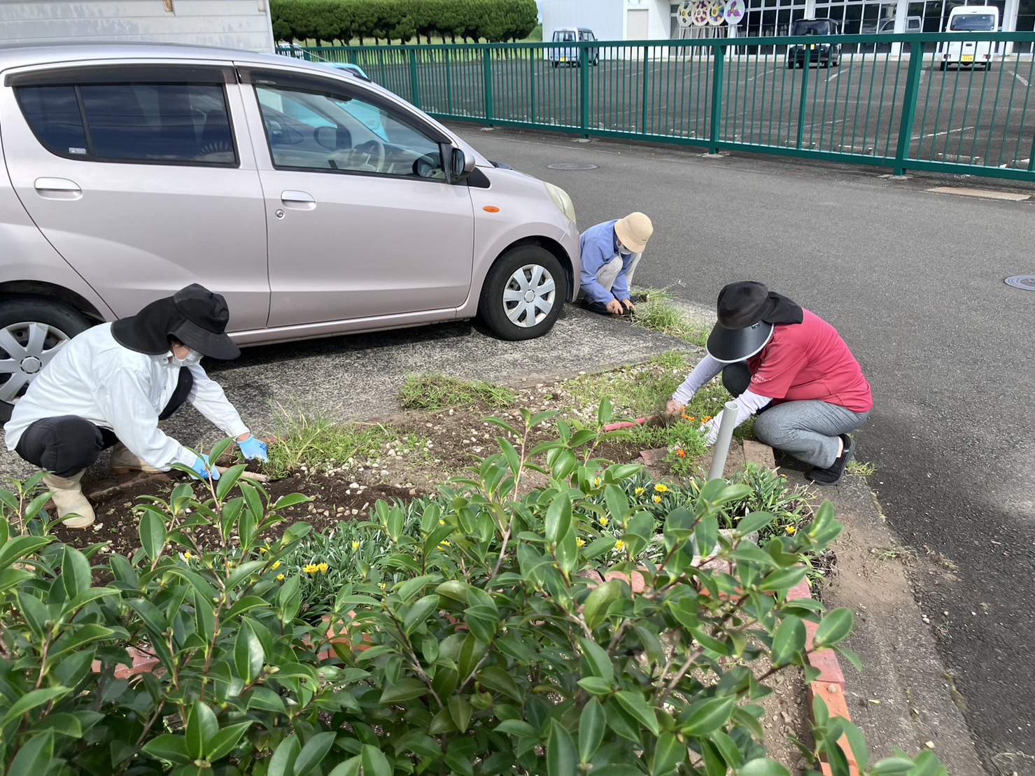 ワーカーが草取りをしています
