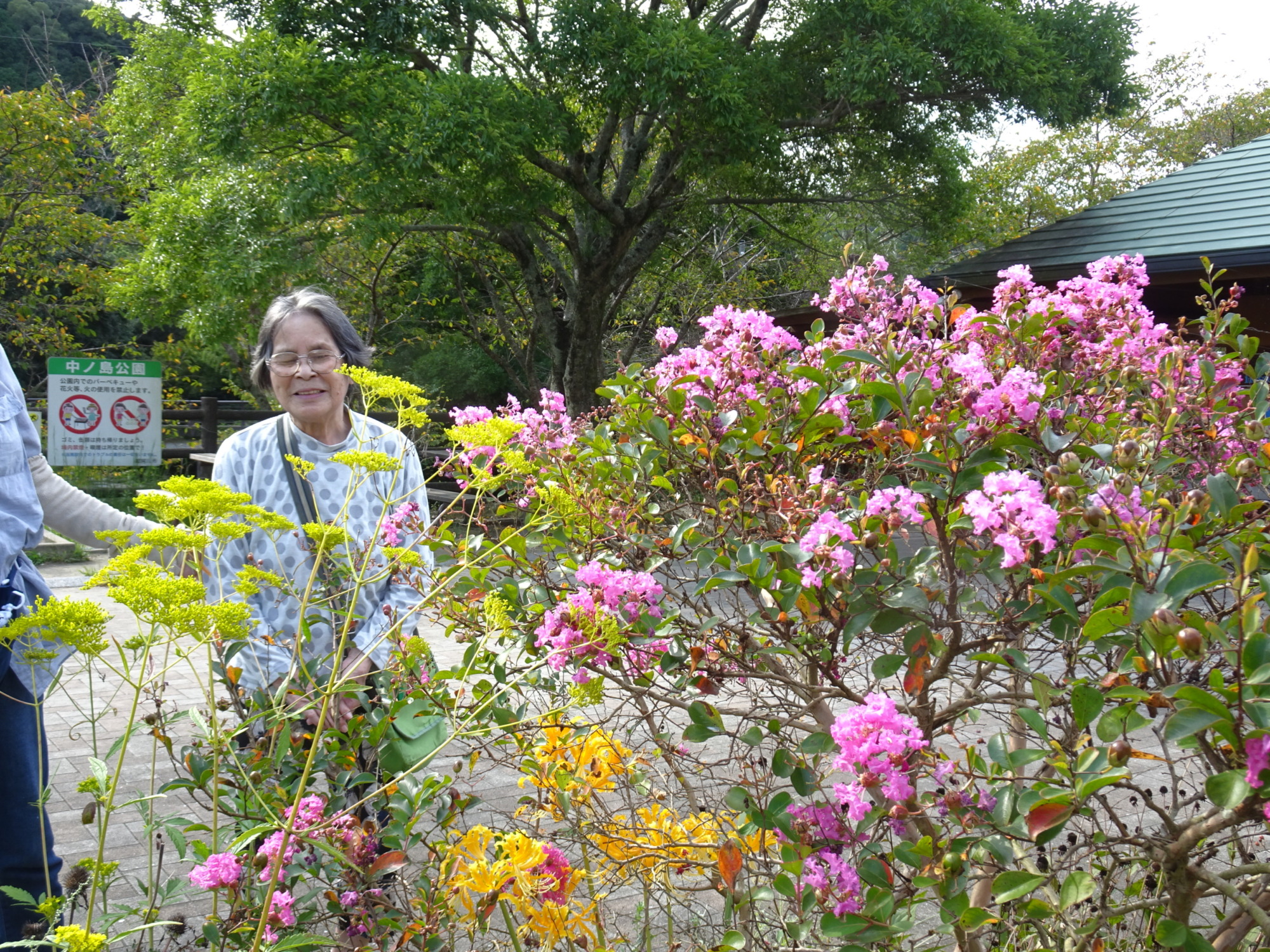 ピンクや黄色の花と一緒に写る利用者さん