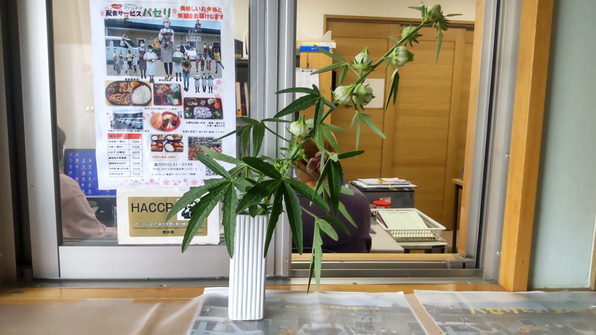 ローゼルハイビスカス