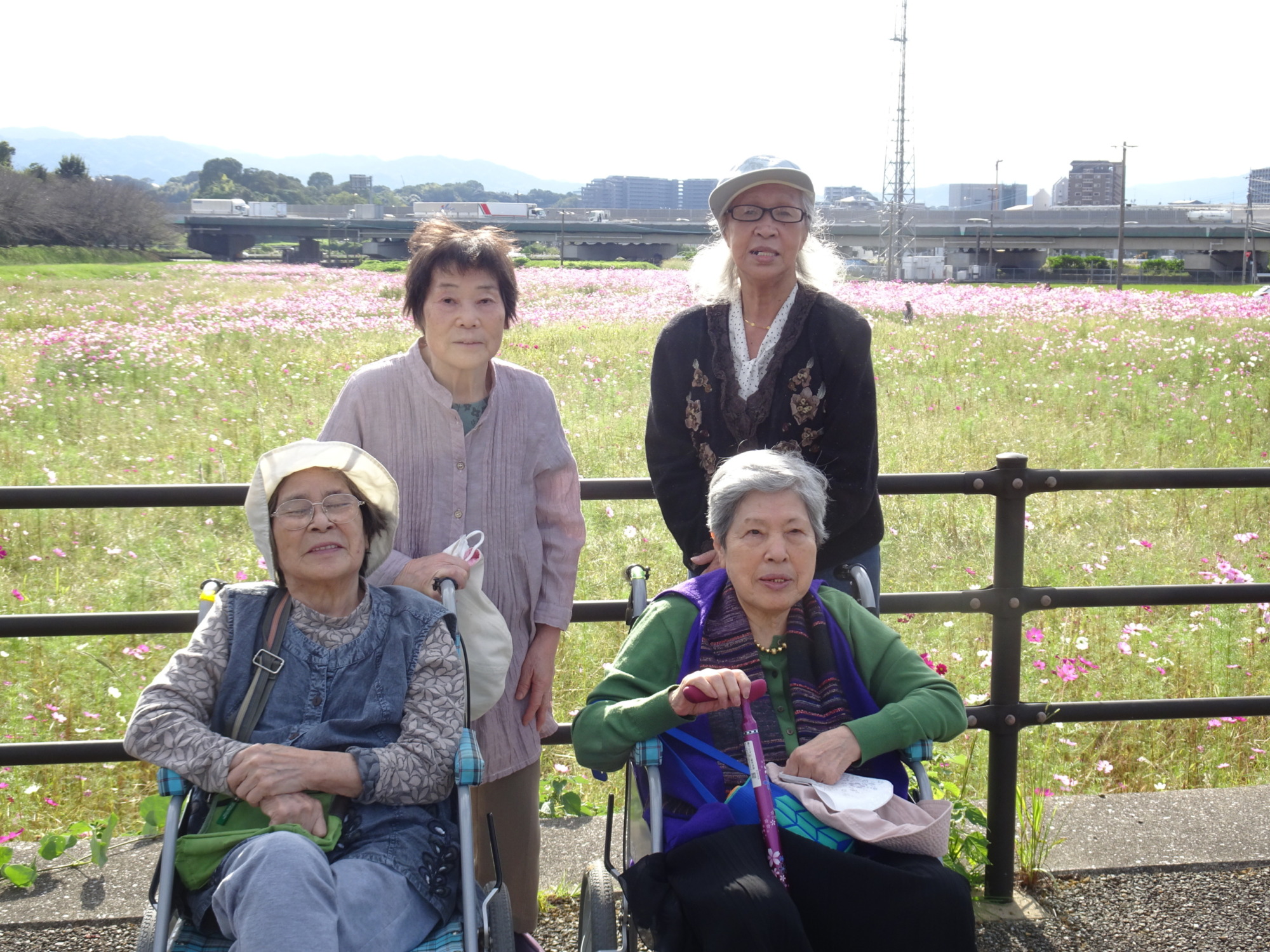 コスモス畑の前で撮った写真